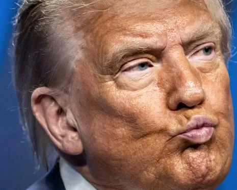 Trump vs Facts Analysis: Few Channel Would Attempt TV So Daring (while also) Repetitive